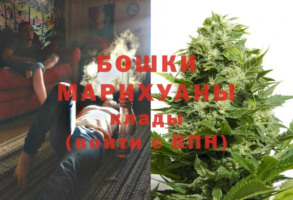 дурь Алексеевка